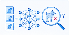 Scientific illustration for DOCTOR: A Simple Method for Detecting Misclassification Errors